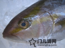 日本美食食材：红鰤鱼（間八 カンパチ）