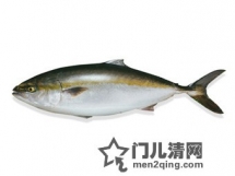 日本美食食材：黄尾鰤（平政 ひらまさ）