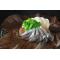 乡土料理海鲜朴叶味噌烧【色々魚介の朴葉焼き】